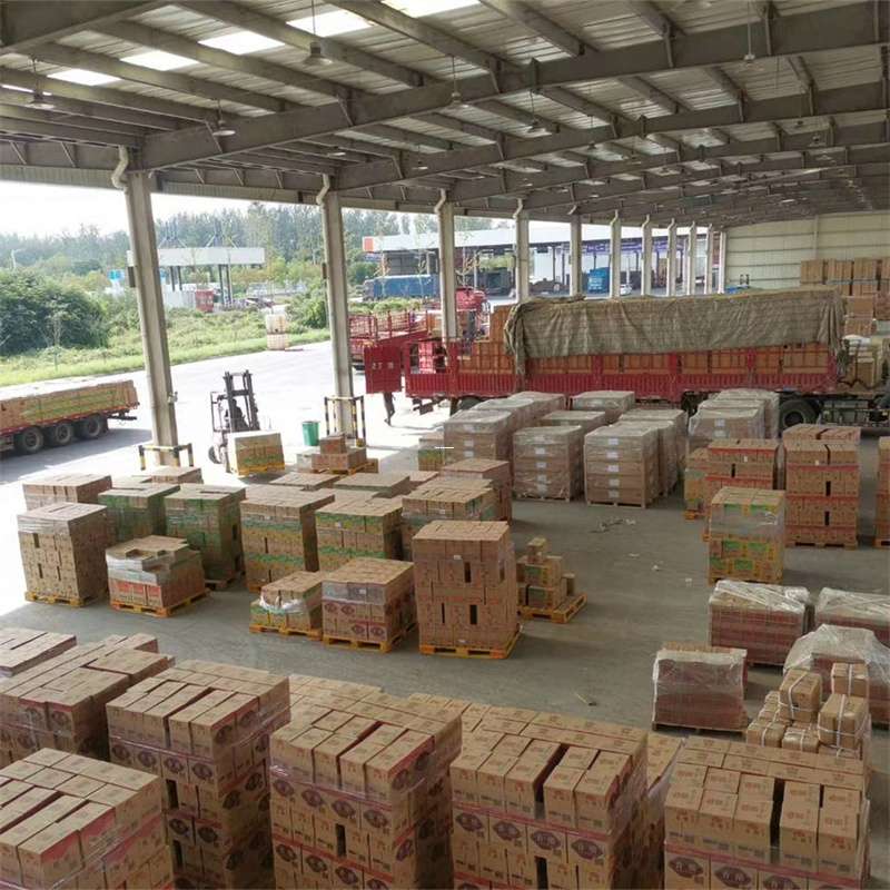 英德市滁州物流：多样运输服务与线路探秘
